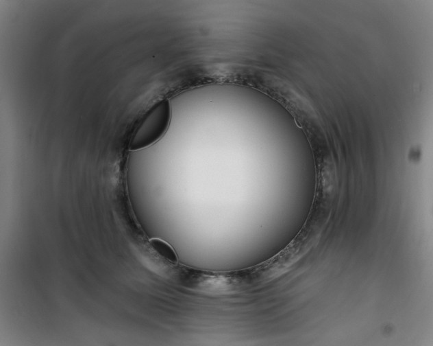 X0000101140611200807110944