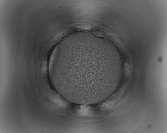 X0000101140612200807110944