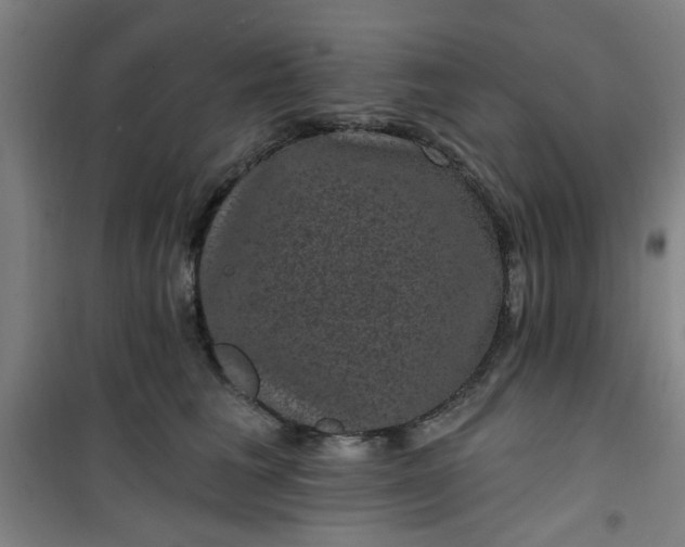 X0000101140613200807110944