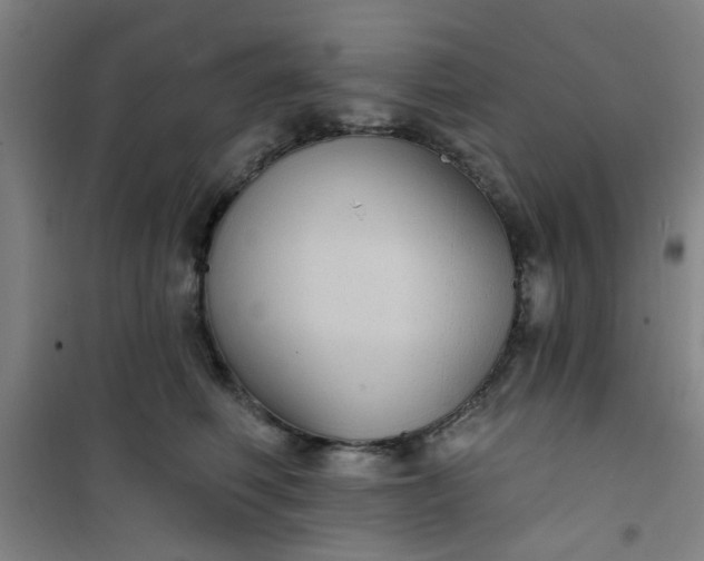 X0000101140614200807110944