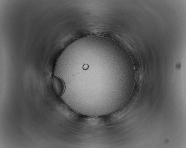 X0000101140615200807110944