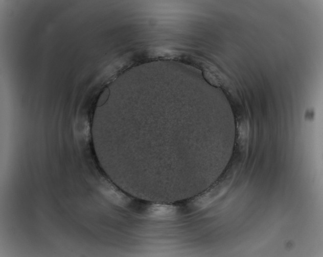 X0000101140617200807110944