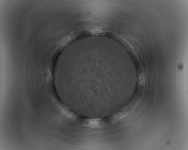 X0000101140618200807110944