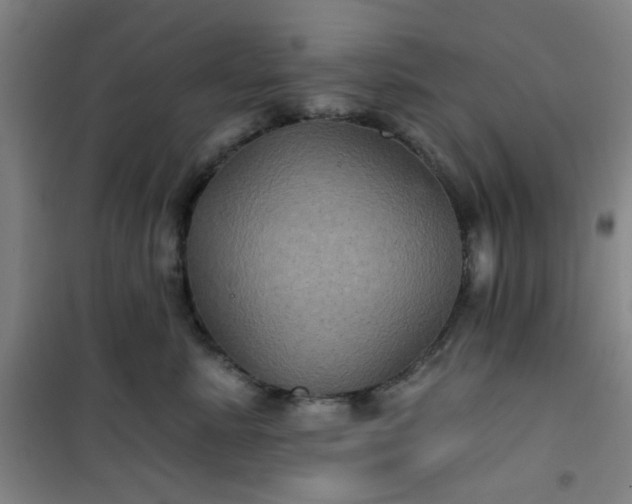 X0000101140619200807110944