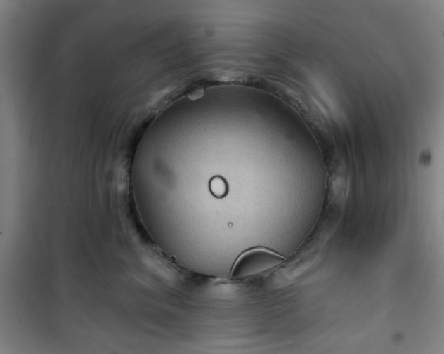 X0000101140620200807110944