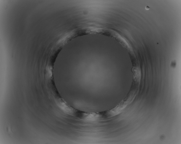 X0000101140621200807110944