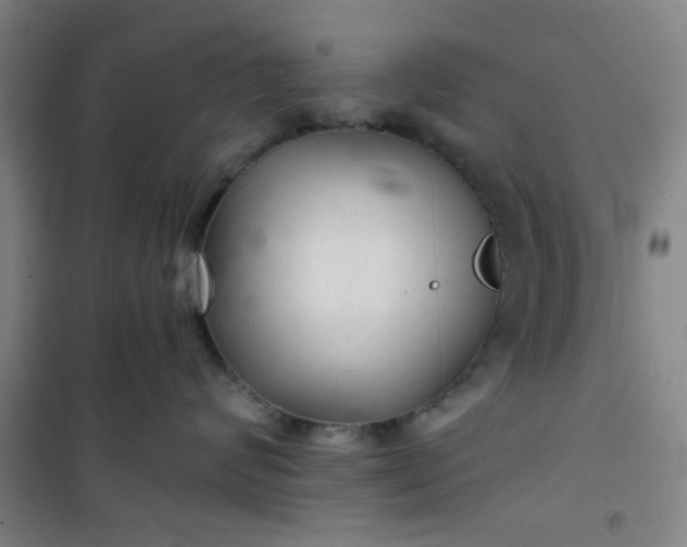 X0000101140624200807110944