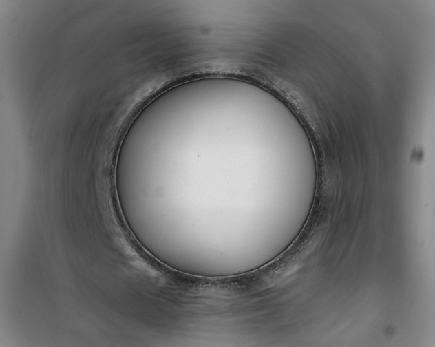 X0000101140625200807110943