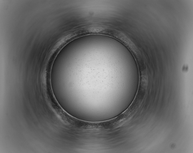 X0000101140626200807110943