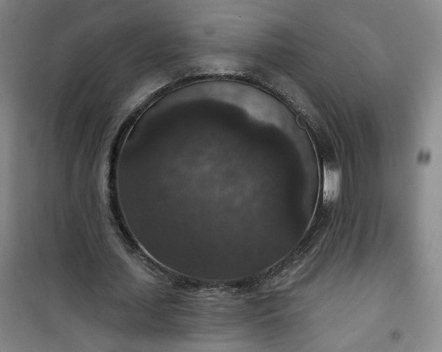 X0000101140627200807110943