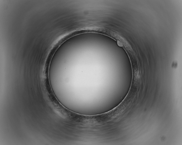 X0000101140628200807110943