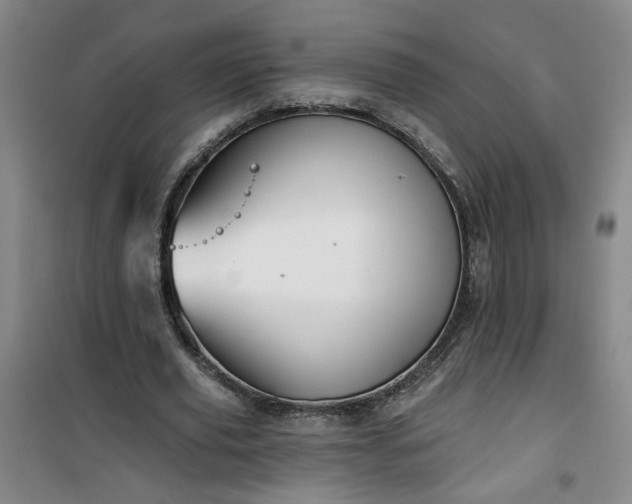 X0000101140629200807110943