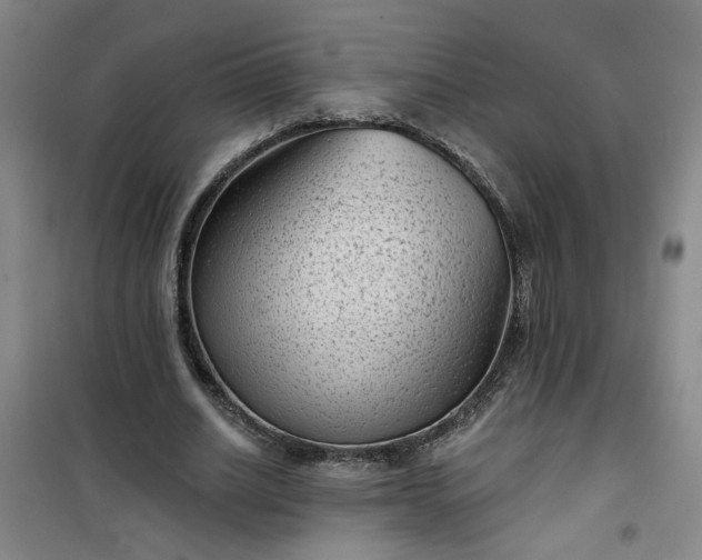 X0000101140630200807110943