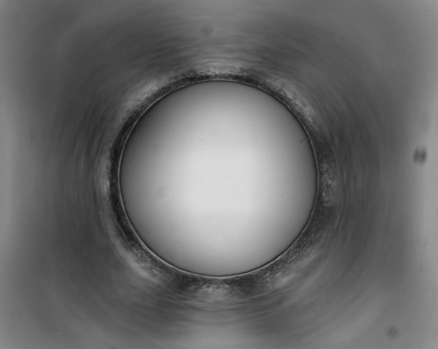 X0000101140631200807110943