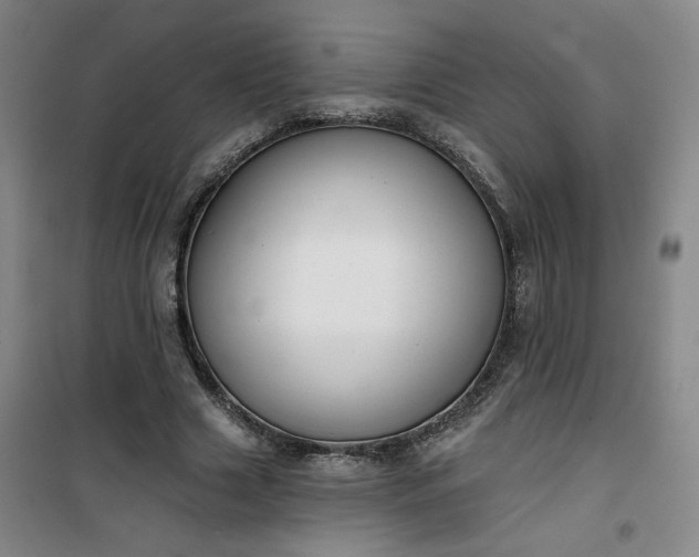 X0000101140633200807110943