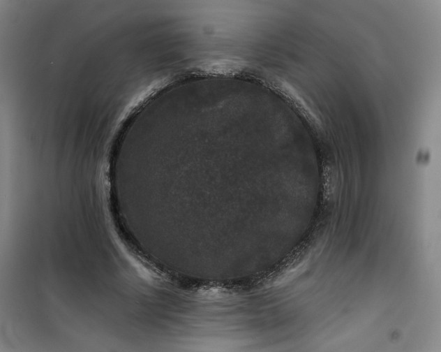 X0000101140634200807110943