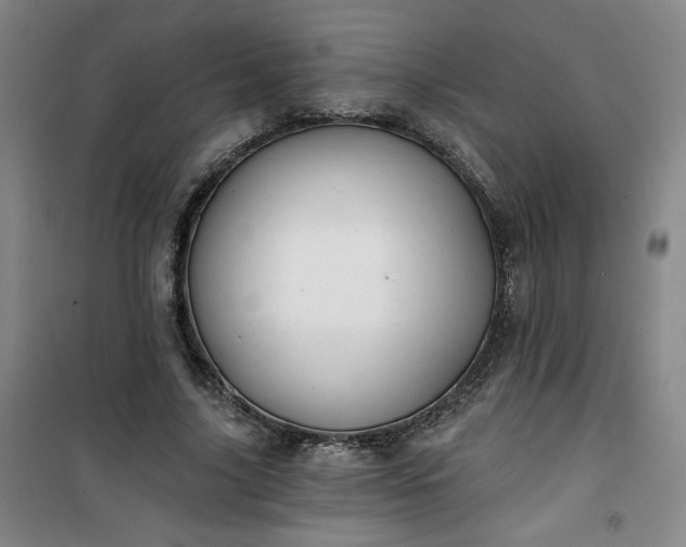 X0000101140635200807110943