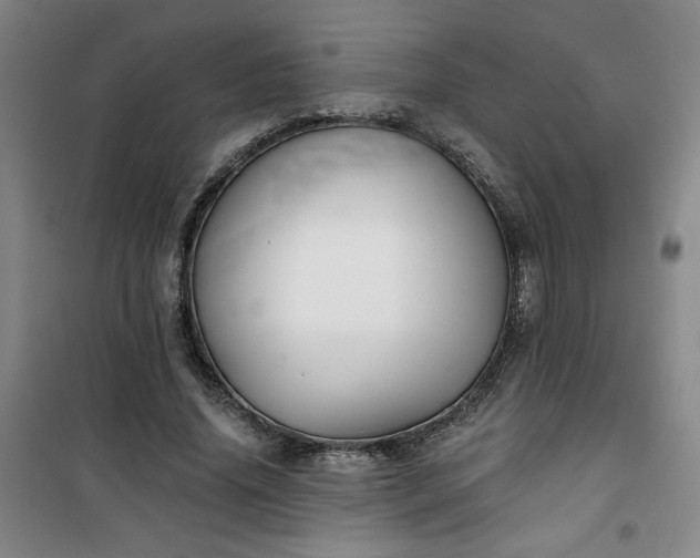 X0000101140636200807110943