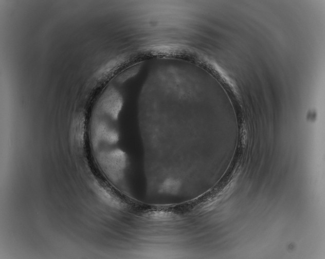 X0000101140637200807110943