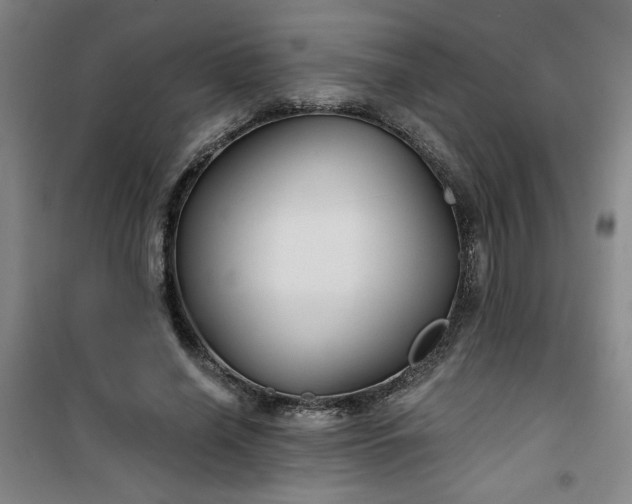 X0000101140638200807110943