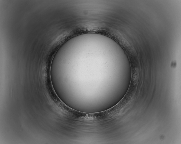 X0000101140639200807110943