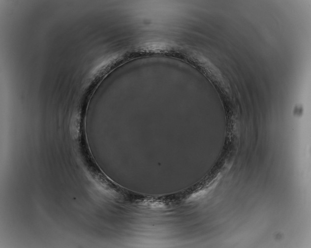 X0000101140640200807110943