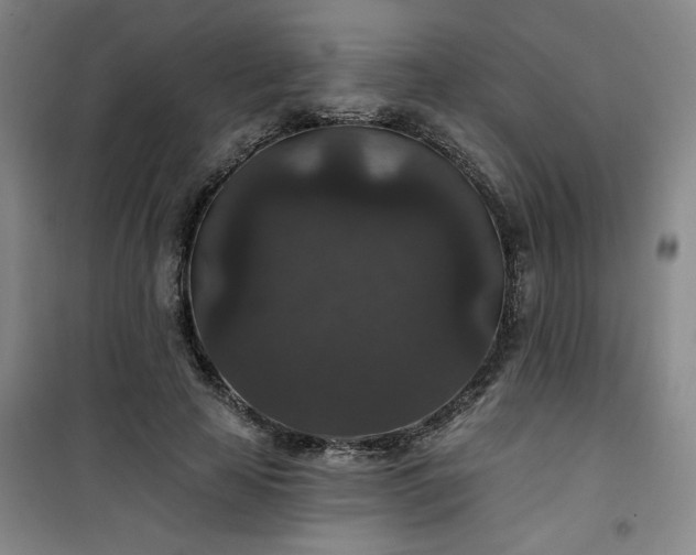 X0000101140641200807110943