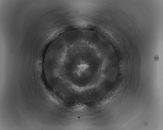 X0000101140642200807110943