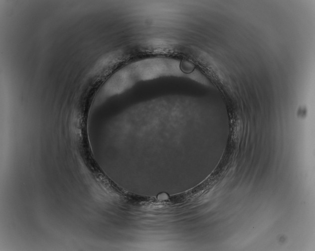 X0000101140643200807110943