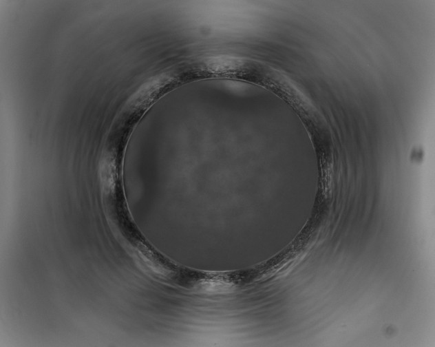 X0000101140644200807110943