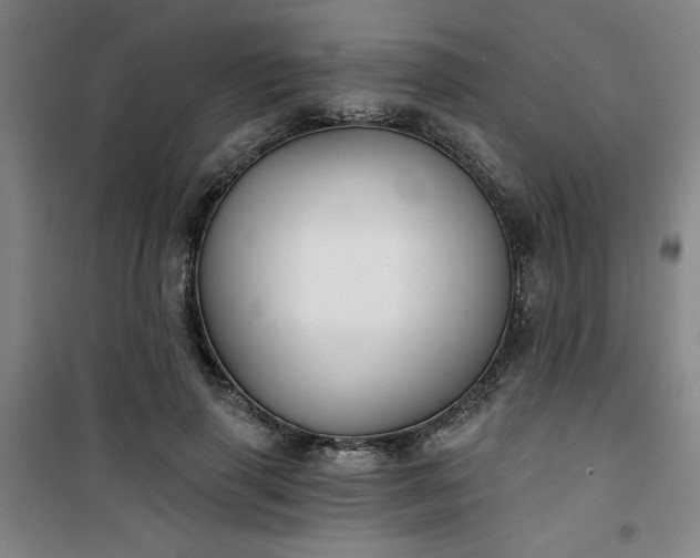 X0000101140645200807110943