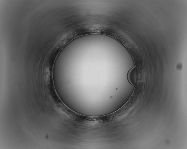 X0000101140646200807110943