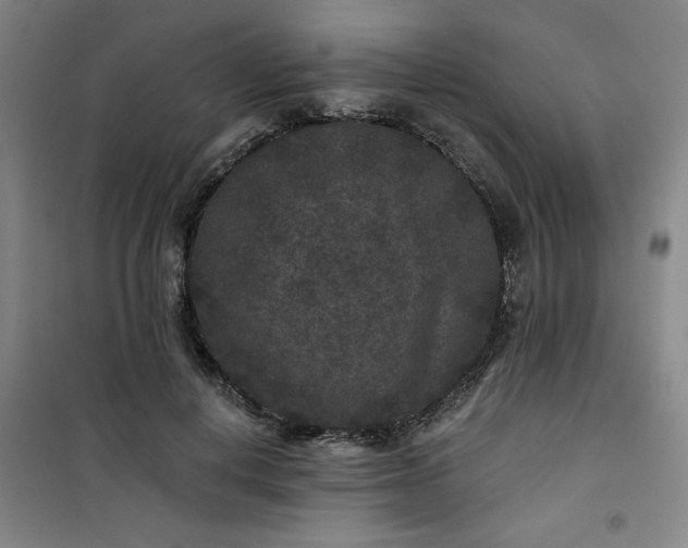 X0000101140648200807110944