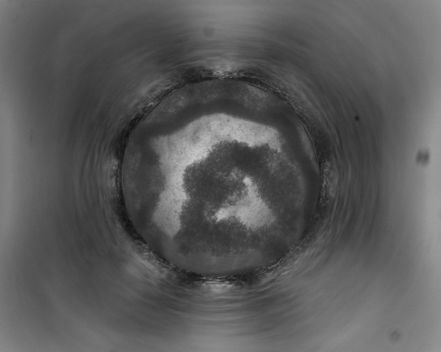 X0000101140650200807110944