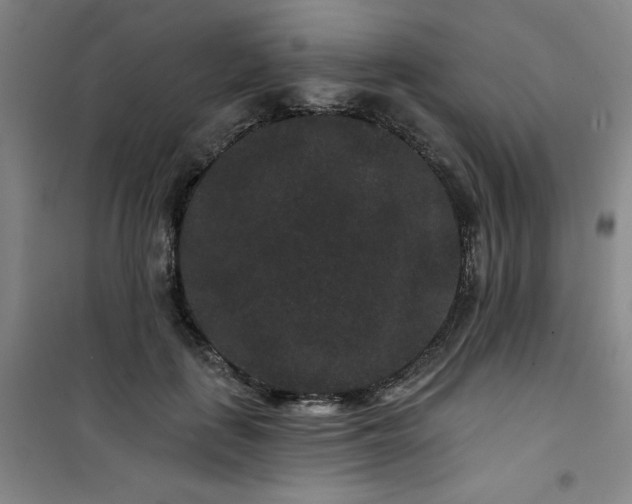 X0000101140651200807110944