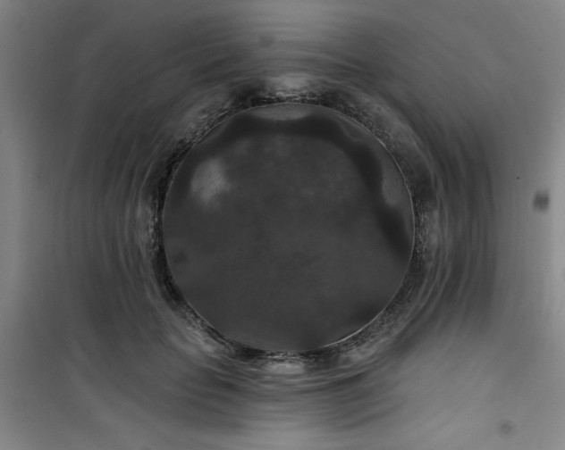 X0000101140653200807110944