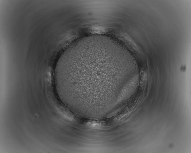 X0000101140655200807110944