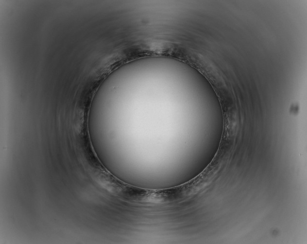 X0000101140656200807110944