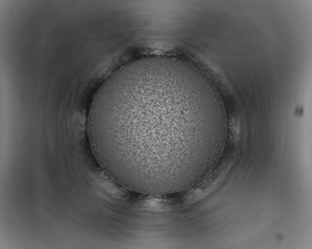 X0000101140657200807110944