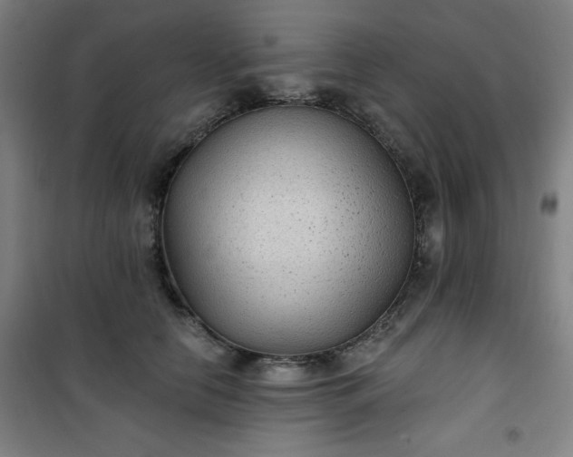 X0000101140658200807110944