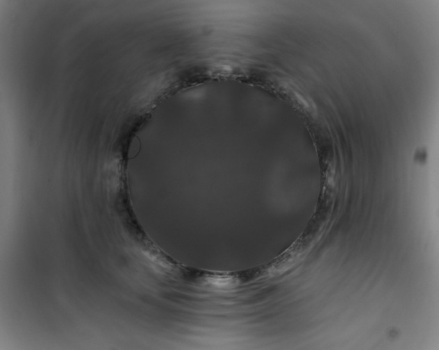 X0000101140659200807110944