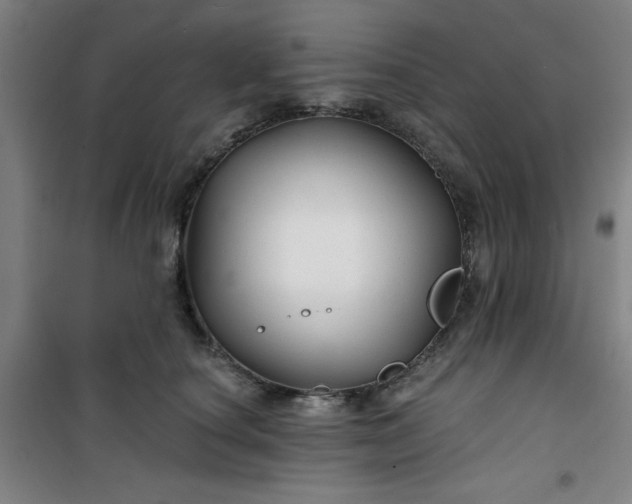 X0000101140660200807110944