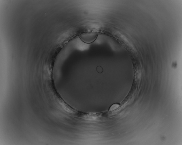 X0000101140661200807110944