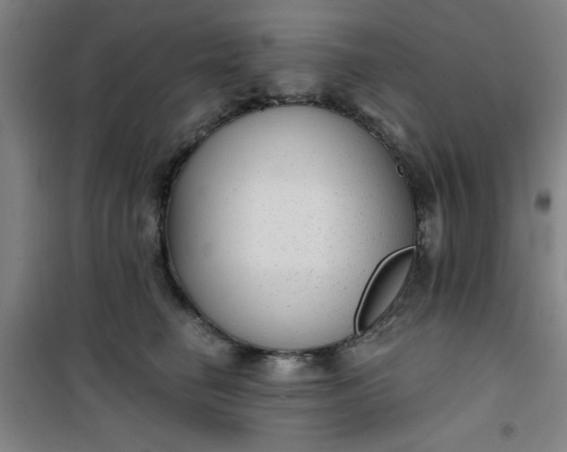 X0000101140662200807110944