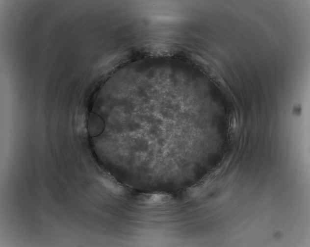 X0000101140663200807110944