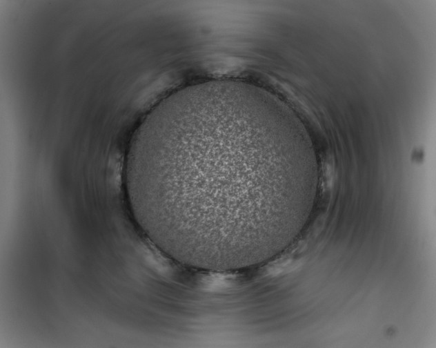 X0000101140664200807110944