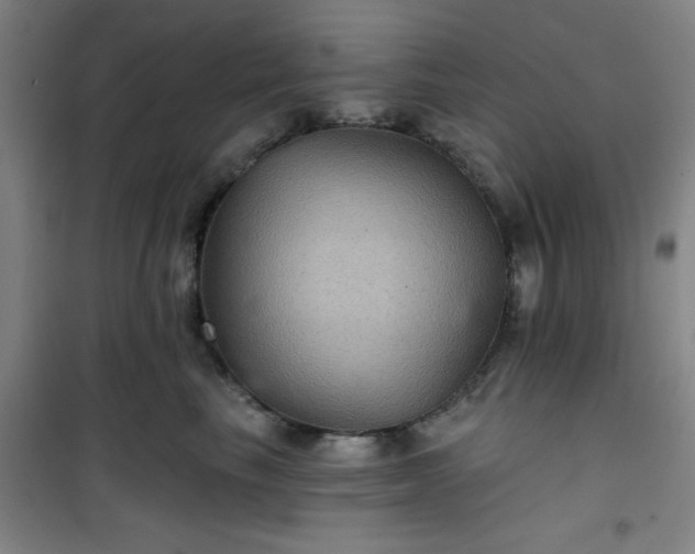 X0000101140665200807110944