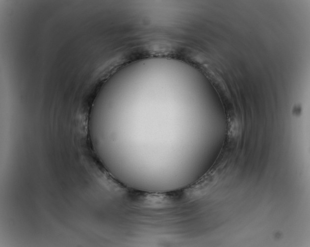 X0000101140666200807110944