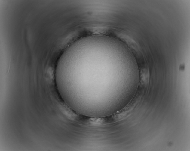 X0000101140667200807110944