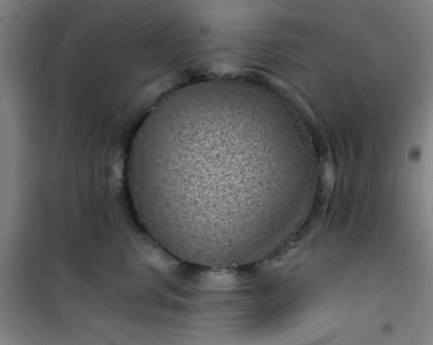 X0000101140668200807110944